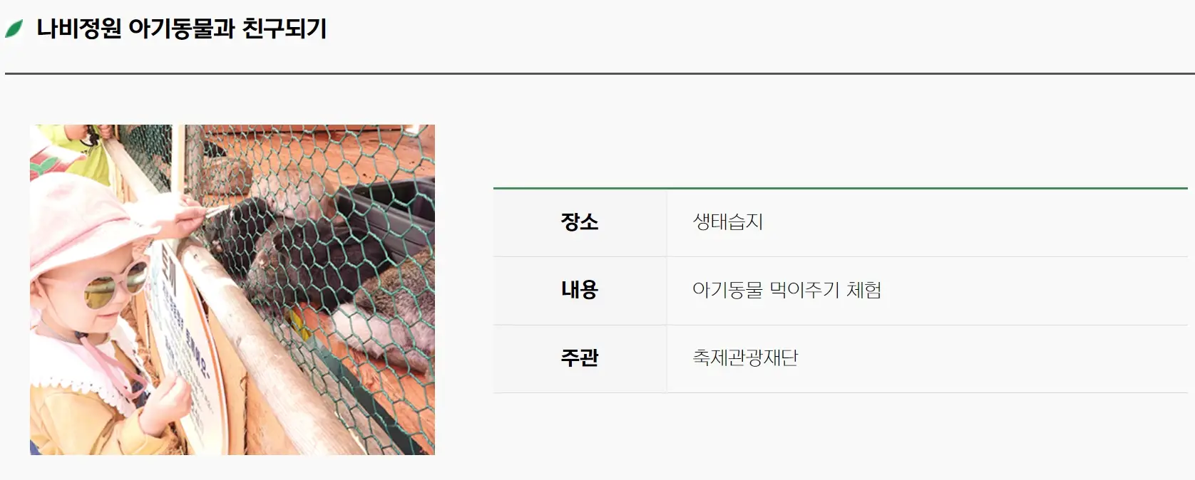 함평나비축제 기간, 주차장, 행사내용