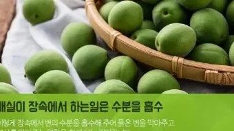 설사에 좋은 음식 총정리 소화기 건강 식단_12