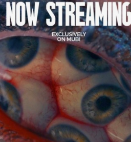 영화 서브스턴스 홍보사진