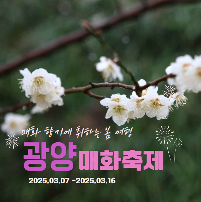 2025 광양 매화 축제 썸네일