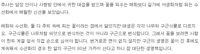 수선화 구근의 강인한 생명력과 번식 능력에 대한 설명