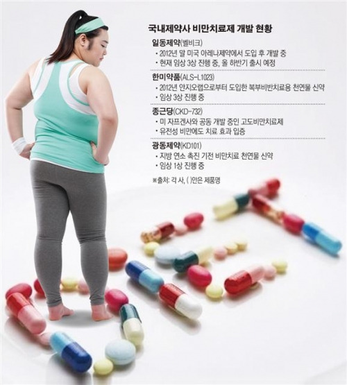 국내 제약사 비만 치료제 개발 현황