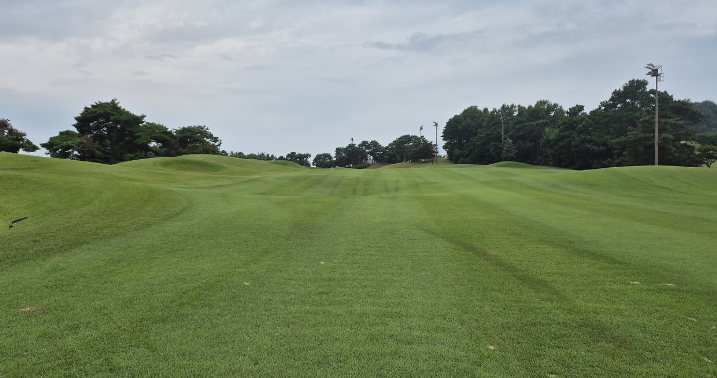 한림용인 CC 사진2