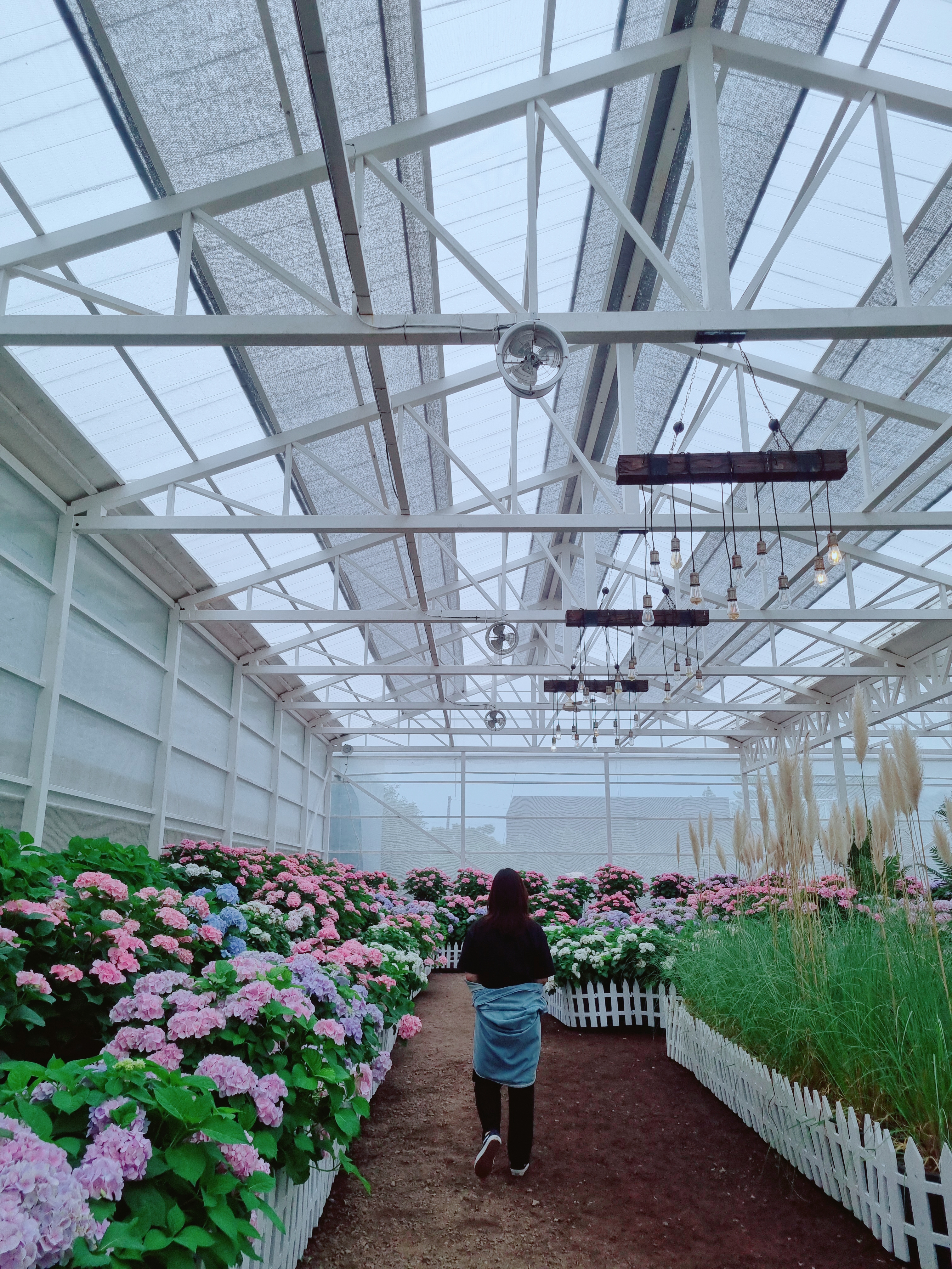 휴애리 자연생활공원