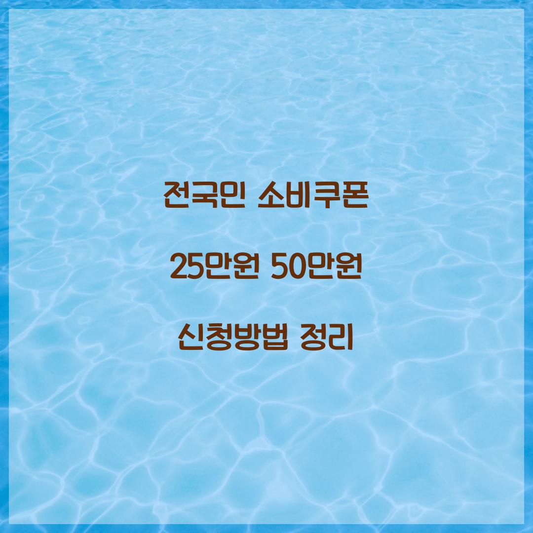 전국민 소비쿠폰