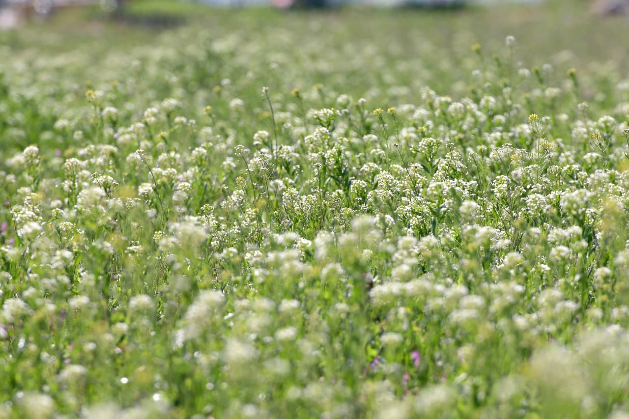 AI가 만든 콘텐츠, SEO에서 살아남을 수 있을까?