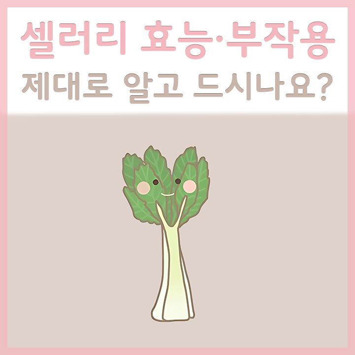 셀러리