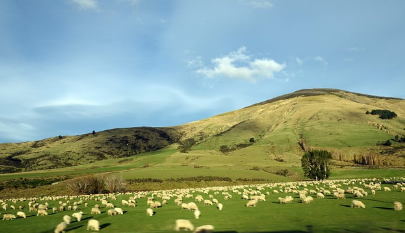 바쁜 직장인을 위한 힐링 여행지 추천! 국내편