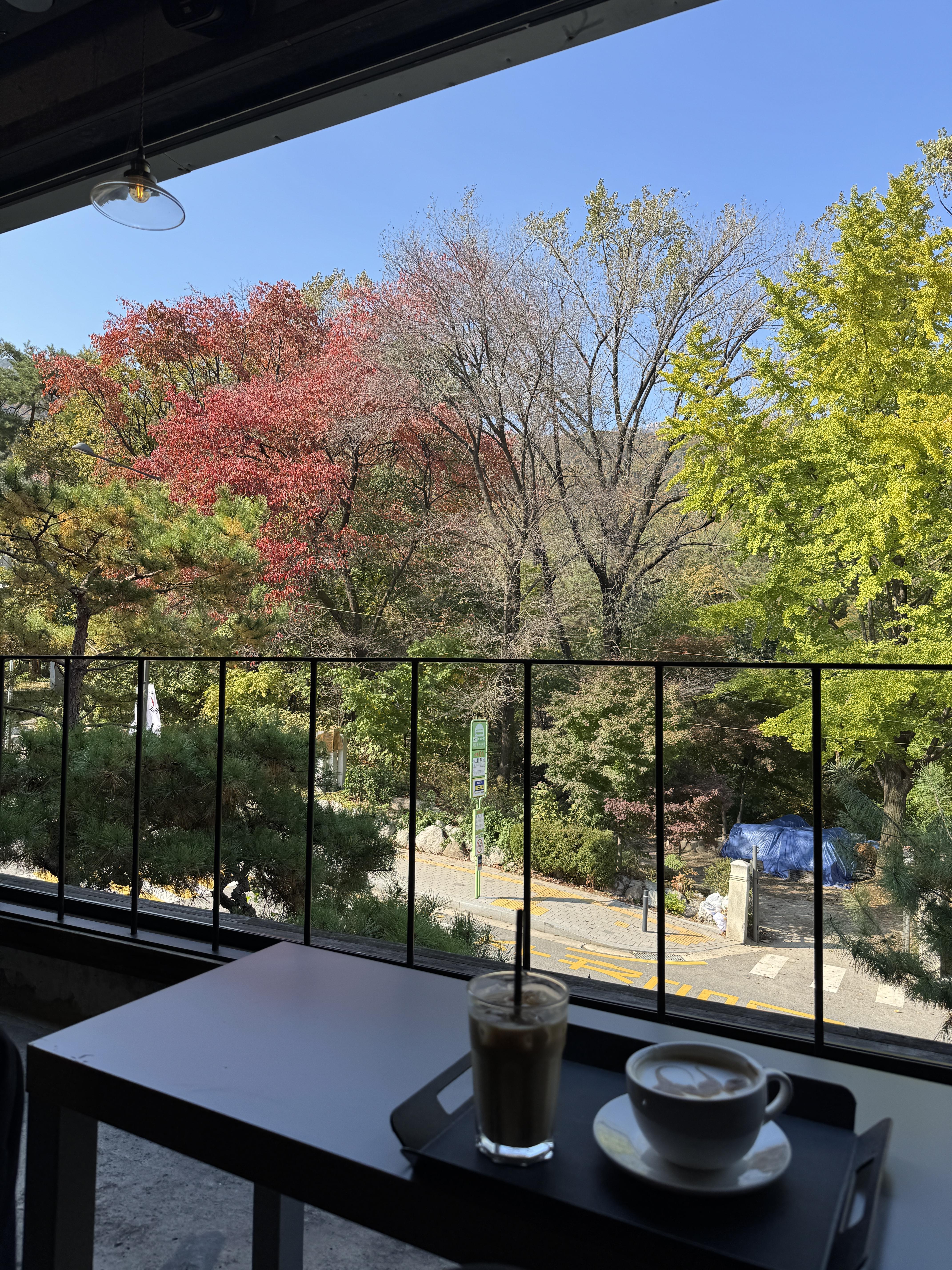 419카페거리-미즐카페엠-통창뷰