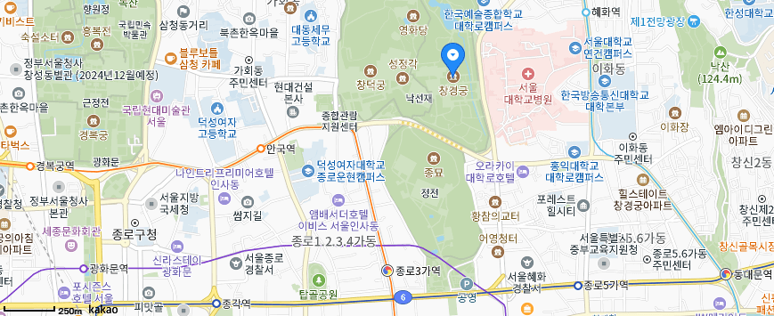 창경궁 나무 이야기 해설 관람 가는 방법