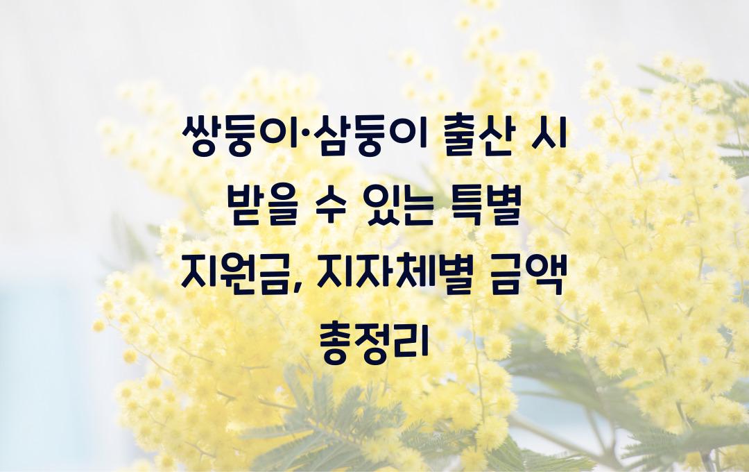 쌍둥이·삼둥이 출산 시 받을 수 있는 특별 지원금, 지자체별 금액 비교