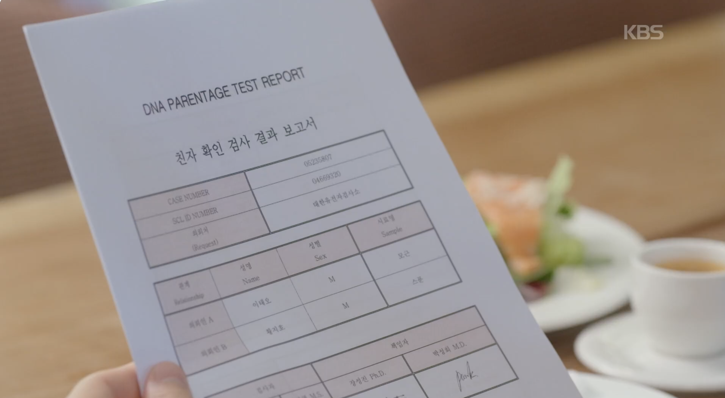 여왕의집 친자