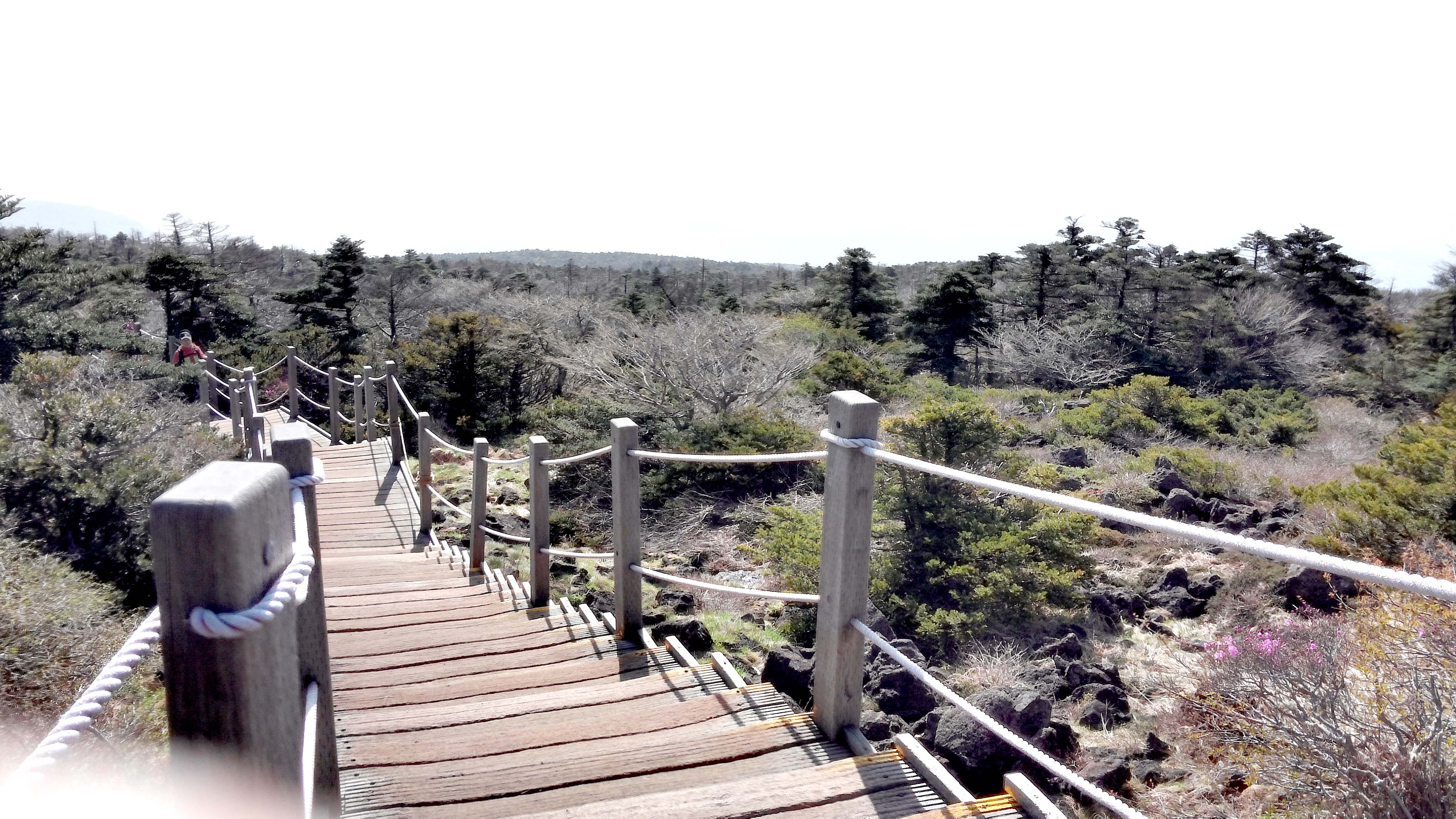 한라산 성판악코스