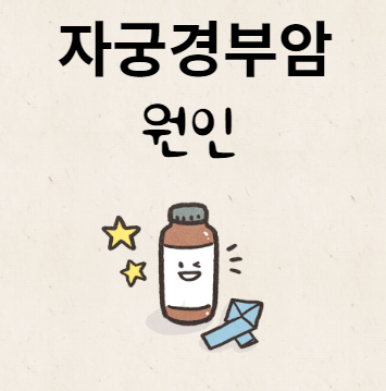 자궁경부암 원인