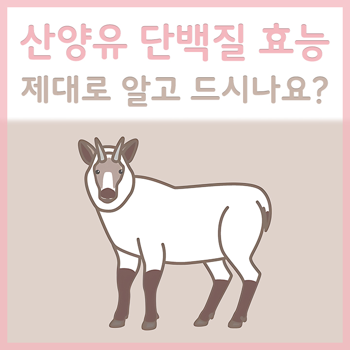 산양의-모습