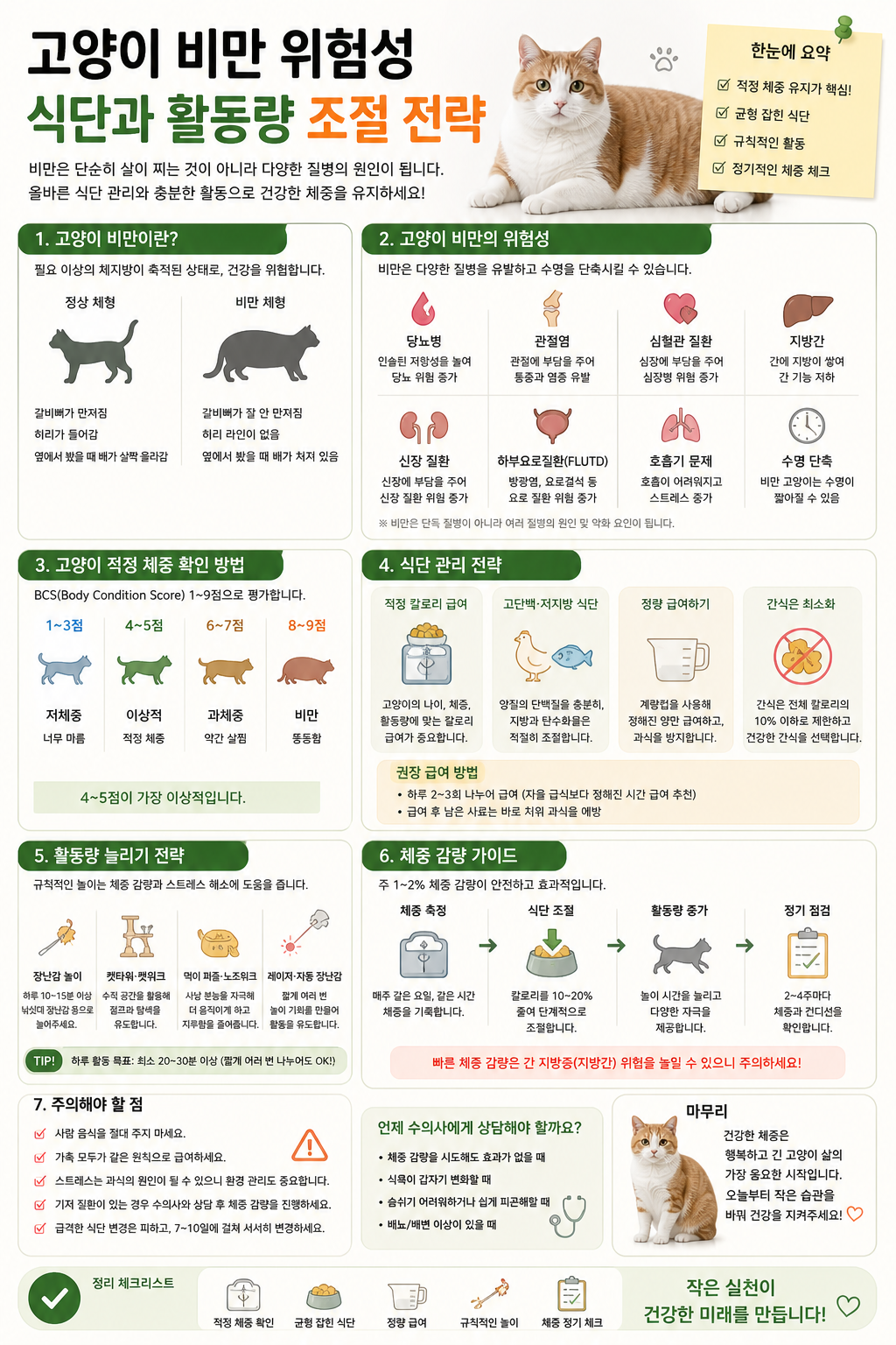고양이 비만 위험성 설명 사진
