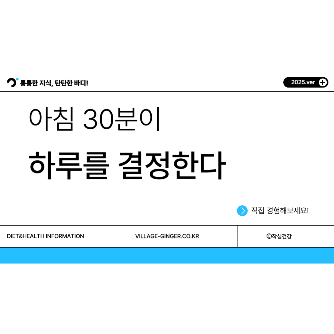 아침 30분이 하루를 결정한다