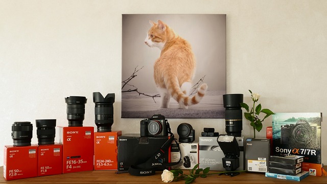 해상도 비트레이트 알아보기