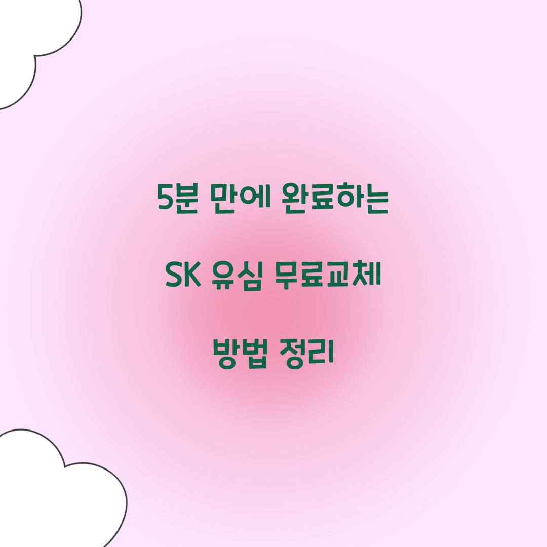 5분 만에 완료하는 SK 유심 무료교체