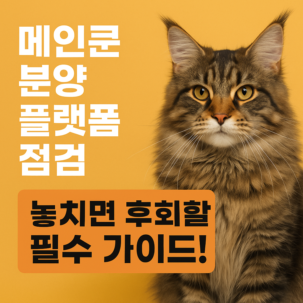 메인쿤 분양