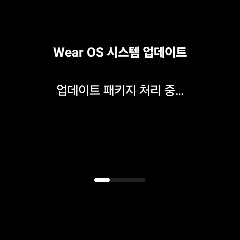 Wear OS 시스템 업데이트 중