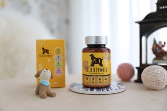 반려동물 영양제 추천 TOP 5