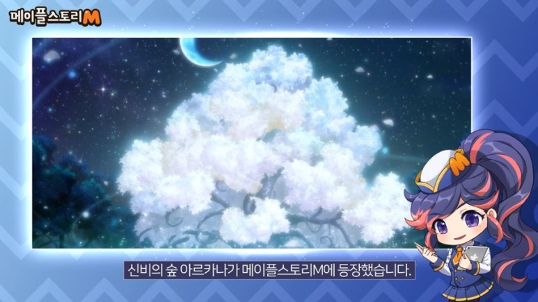 메이플 아르카나