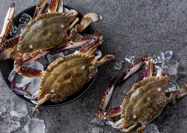 꽃게의 매력에 푹 빠지다: 꽃게의 모든 것을 알아보자