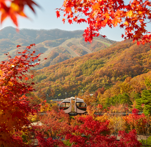 화담숲의 단풍 사진입니다.