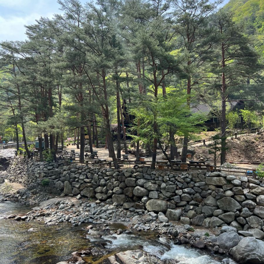 미천골자연휴양림