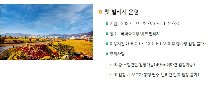 마산국화축제