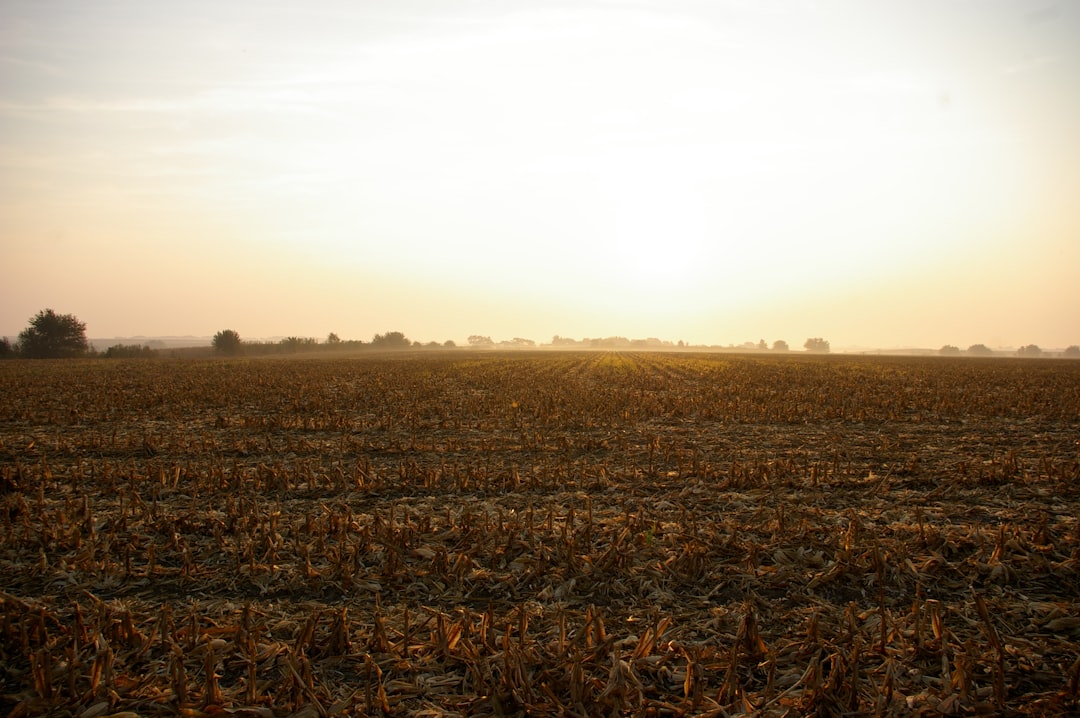 Land.