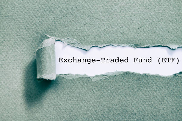 ACE 미국 나스닥100 ETF12