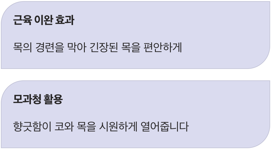 #2 향긋한 진정제, 모과차