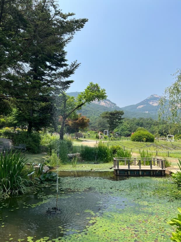 [서울 근교 여행지]산들소리 수목원 &amp; 낭만등불축제 후기