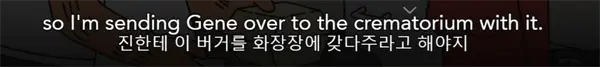 Dualsub를 이용한 동시자막