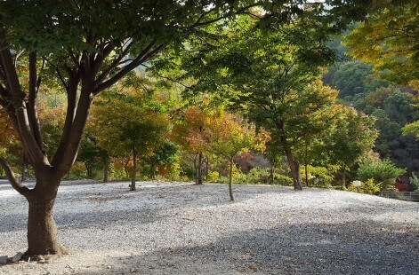 6시 내고향 무주 카페 캠핑 체험 무주눈꽃덕유캠프