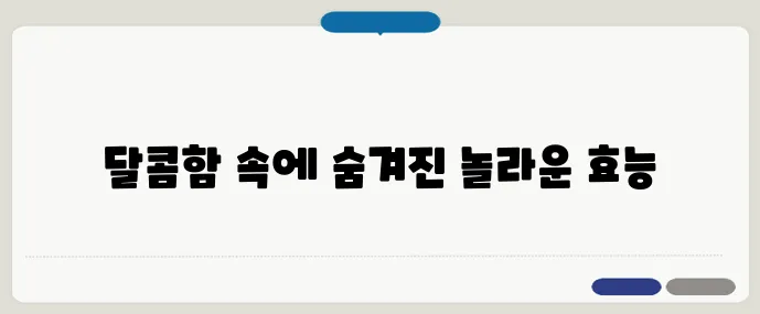 아시아 배: 건강과 전통을 아우르는 과일