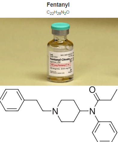펜타닐 좀비 패치 중독 신아편전쟁 미국 중국