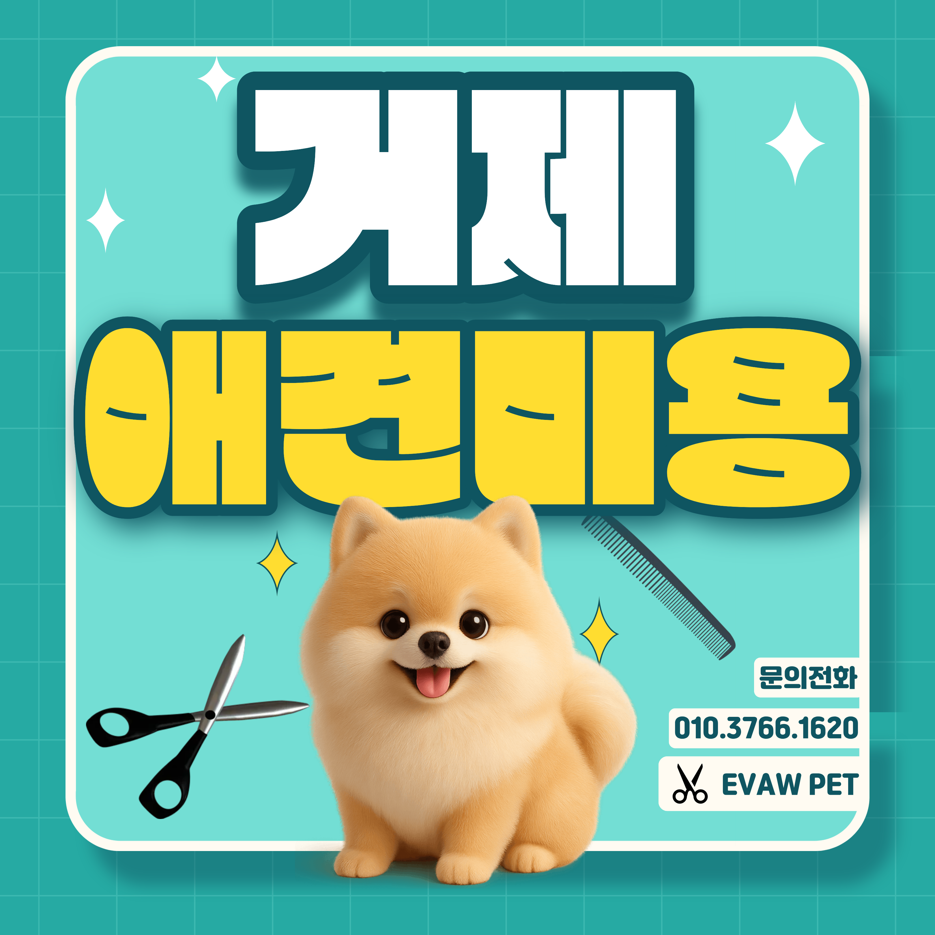 거제애견미용학원