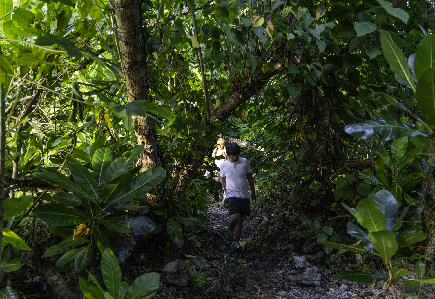 괌 탕기슨 비치 버섯바위