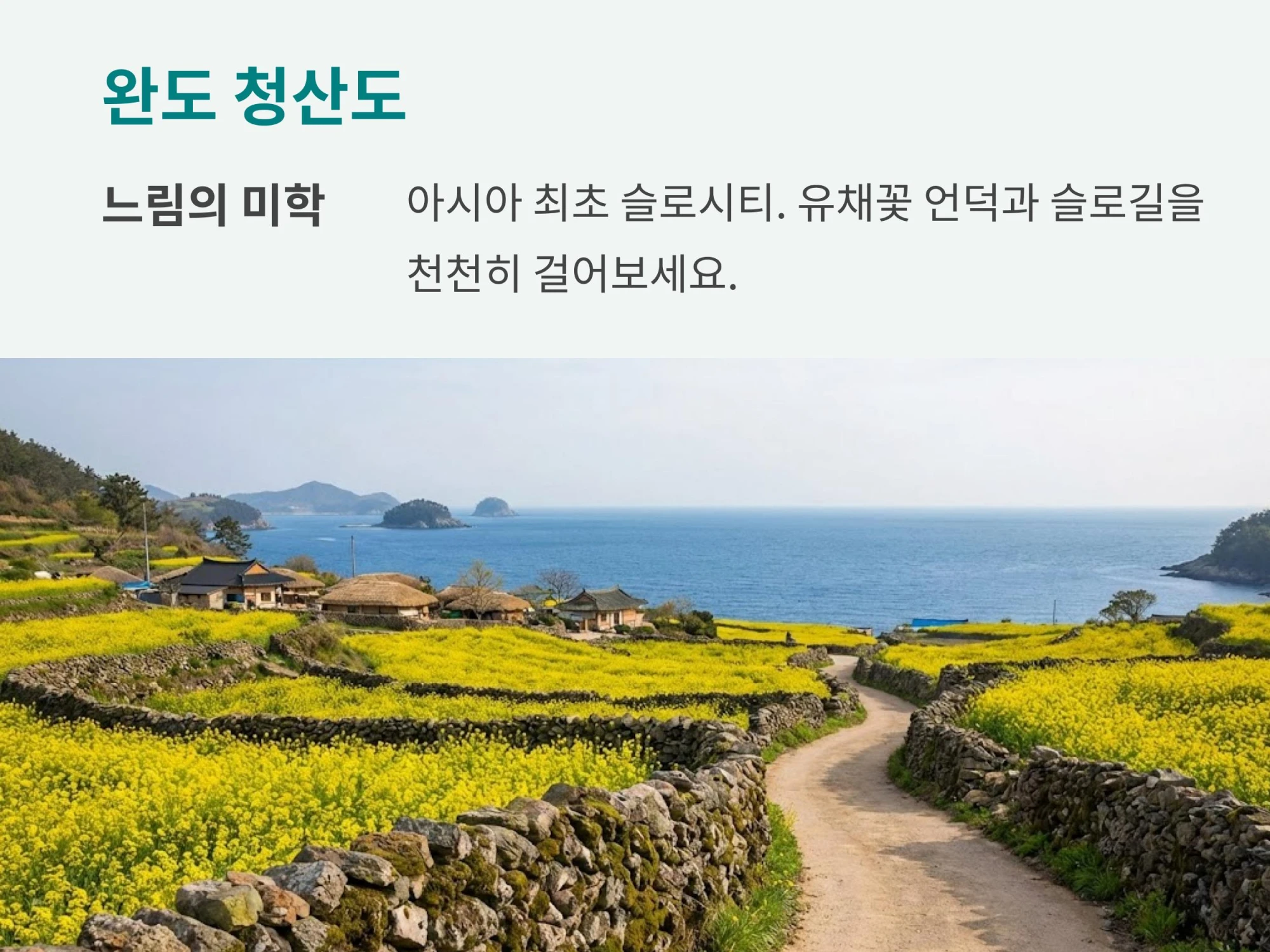 유채꽃이 만발한 돌담길과 바다가 어우러진 풍경 사진에 '느림의 미학, 아시아 최초 슬로시티' 설명이 적힌 이미지