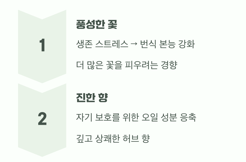 건조함이 주는 최고의 선물