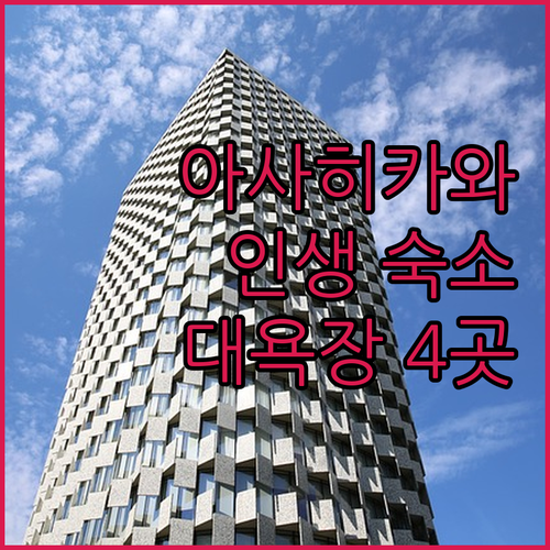 비에이 여행 아사히카와 숙소 베스트 ..