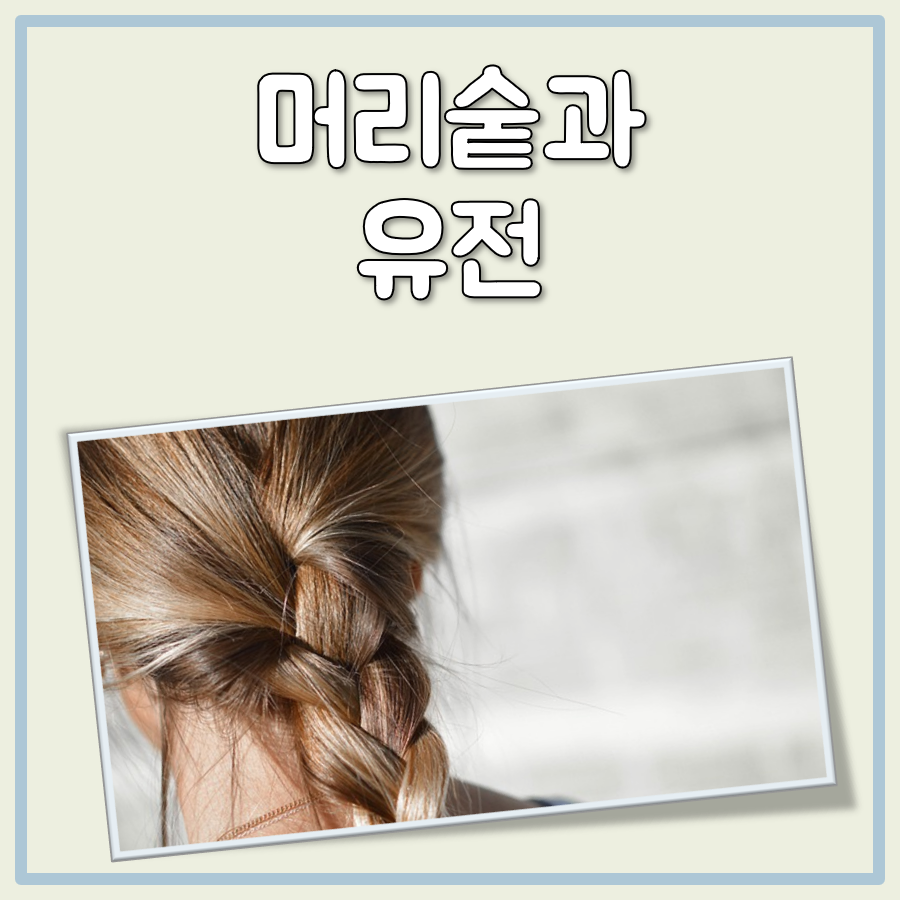 머리숱 유전 대표 이미지