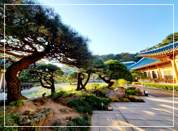 청와대 관람 예약