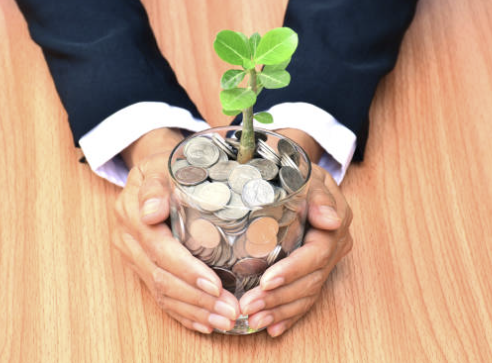 돈 위에 자라는 새싹 희망을 의미