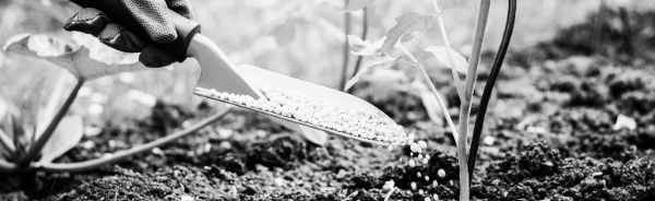 화초 비료 필수 지식 ④ 유의 사항