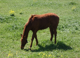 제주도-배-타고-가는-방법