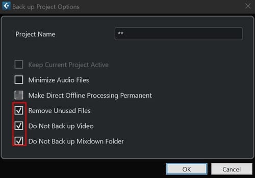 큐베이스 프로젝트 백업 옵션
